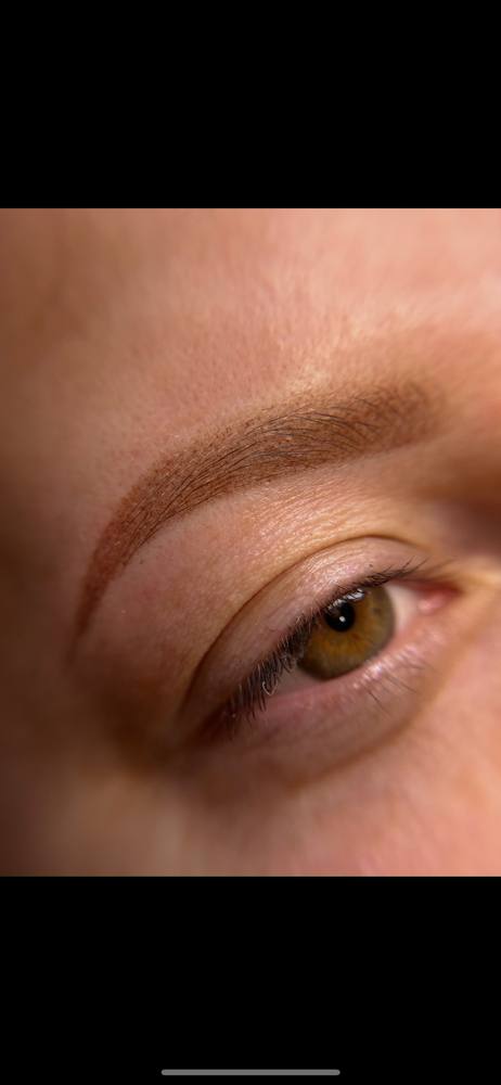 $250 Powder Brow Special!