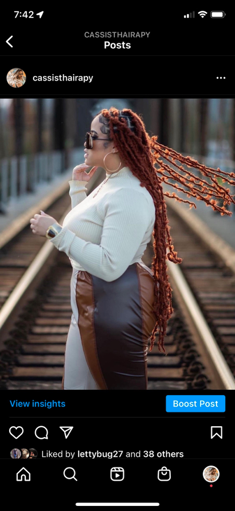 Individual Crochet Faux Locs