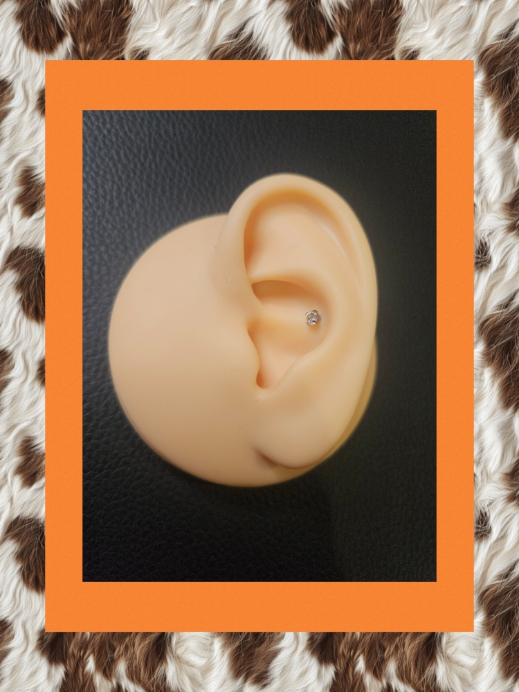Conch Piercing