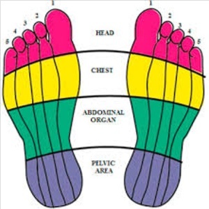 60 Minute Foot Zoning/Reflexology at Body Blueprint Wellness in Cohasset Office, MA