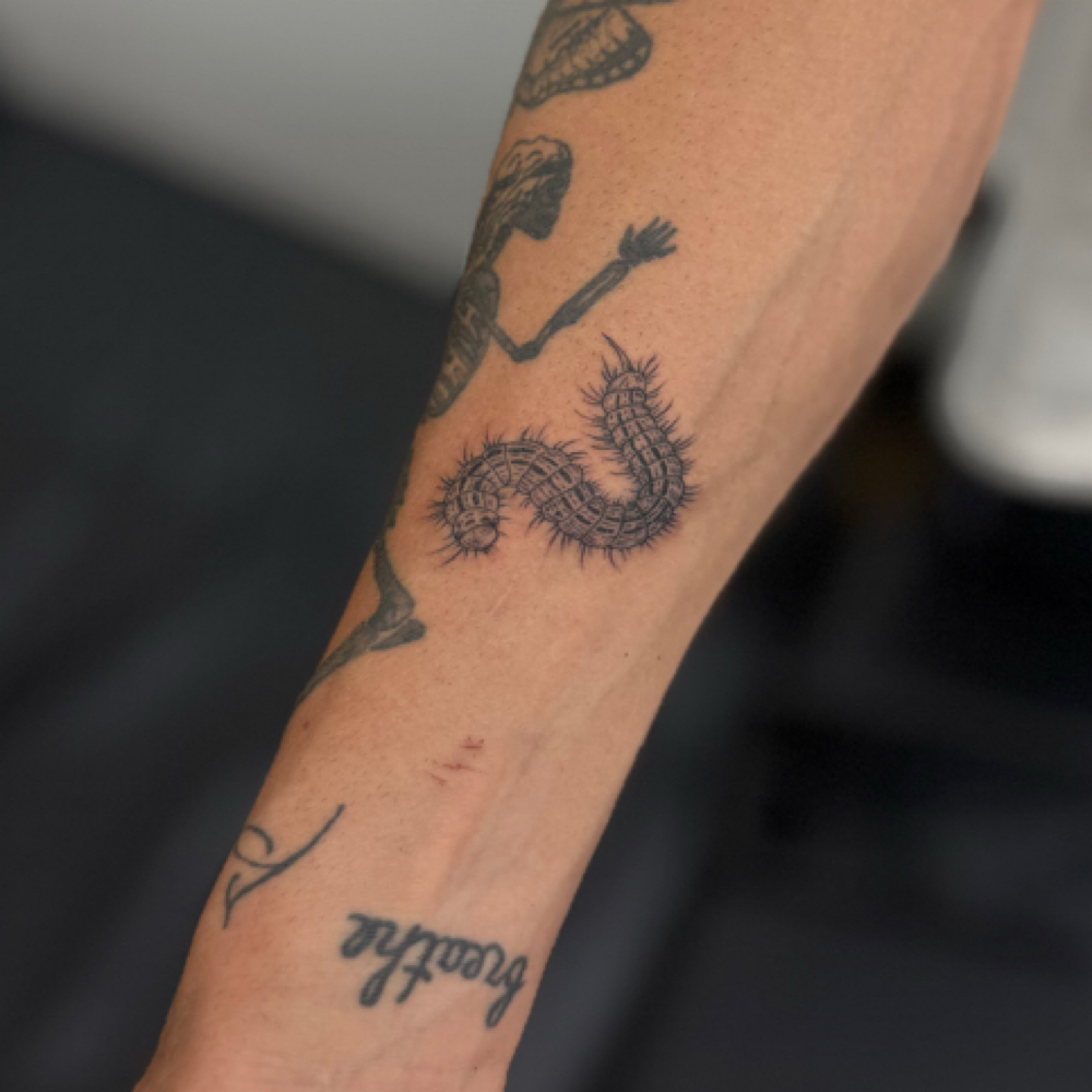 Small Tattoo at Finely Tatted Studio in Louisville, KY