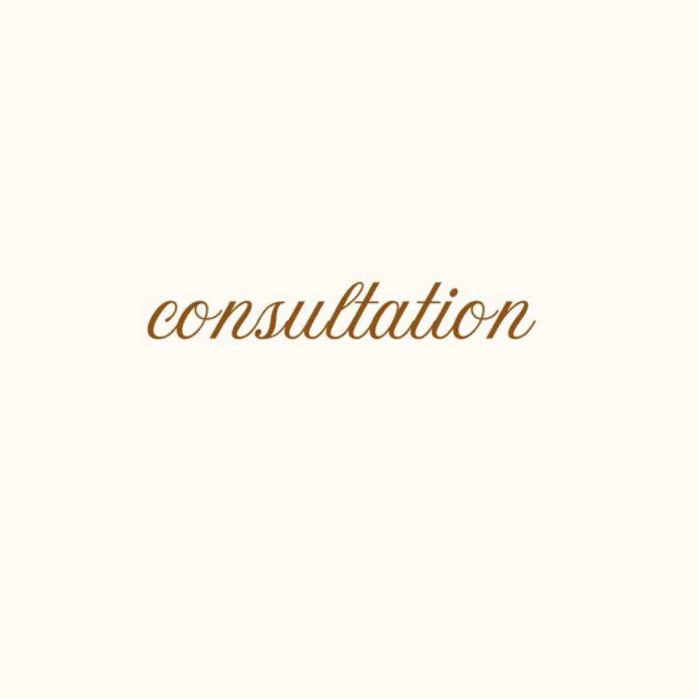 Consultation at Haley Gabriel Hair in Round Rock, TX