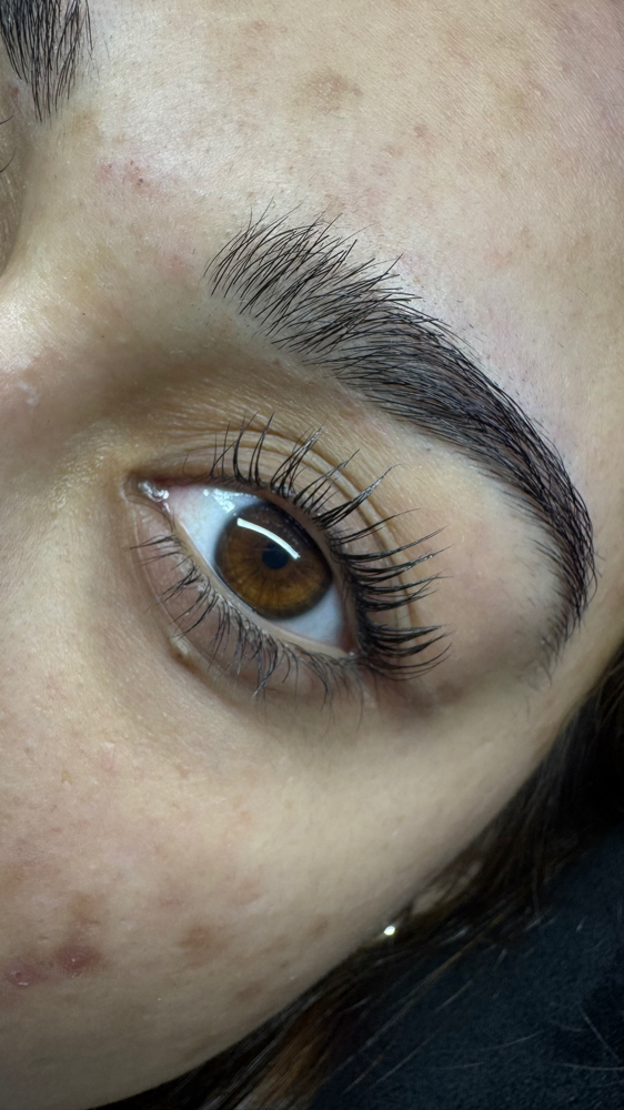 Lash Lift
