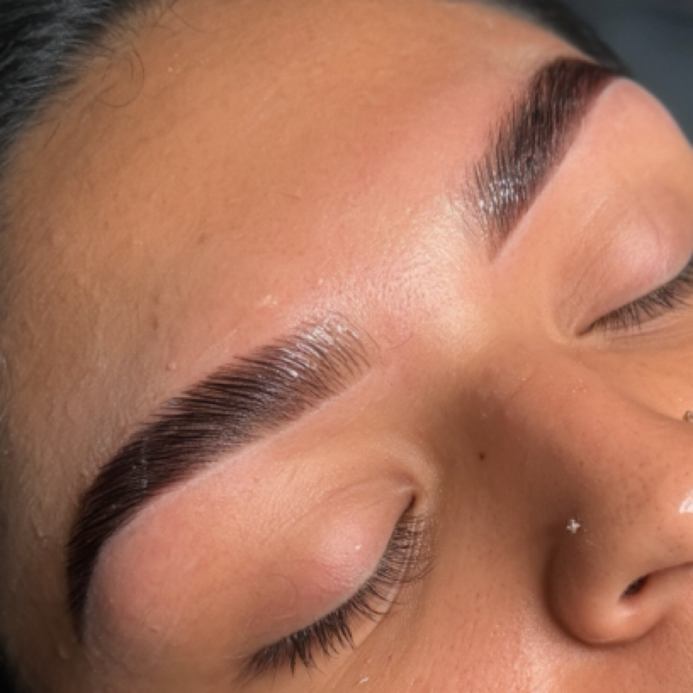 Brow Lamination + Wax + Hybrid Tint at Bri Beauty in jefferson city, MO