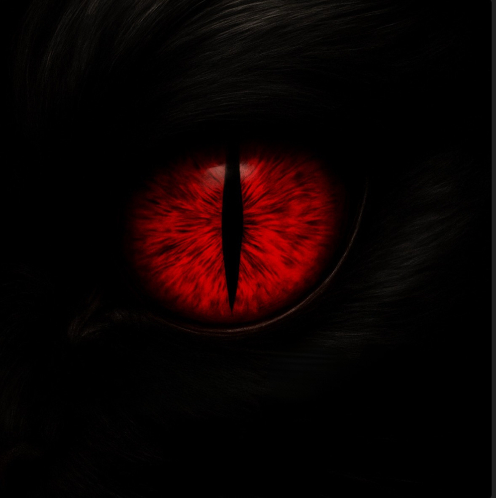 Manicure (No Gel/Acrylic) at Sinister Studio Nails in West Jordan, UT