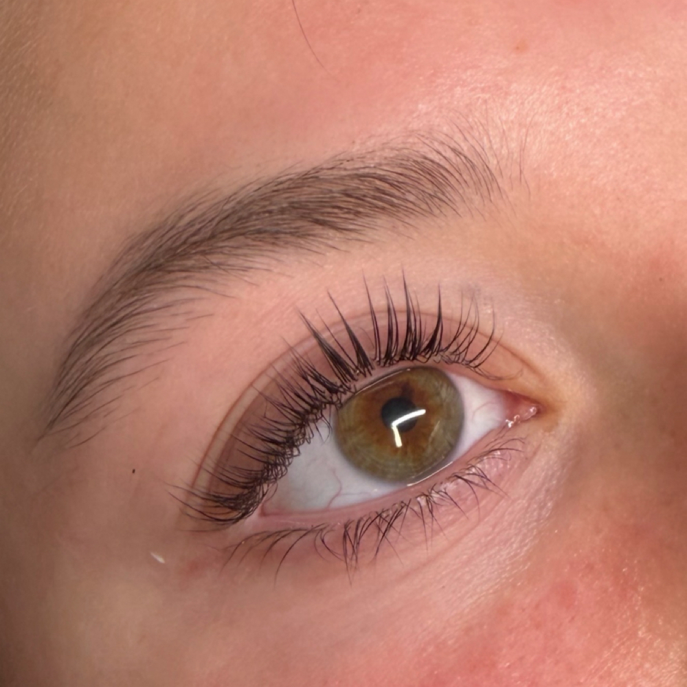 lash lift + tint at Madi Coca Aesthetics At The Skin Refinery in Nicholasville, KY