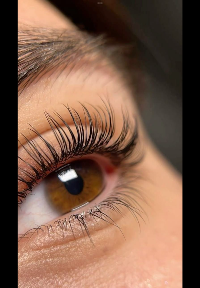 Lash Lift + Tint at Madi Coca Aesthetics At The Skin Refinery in Nicholasville, KY