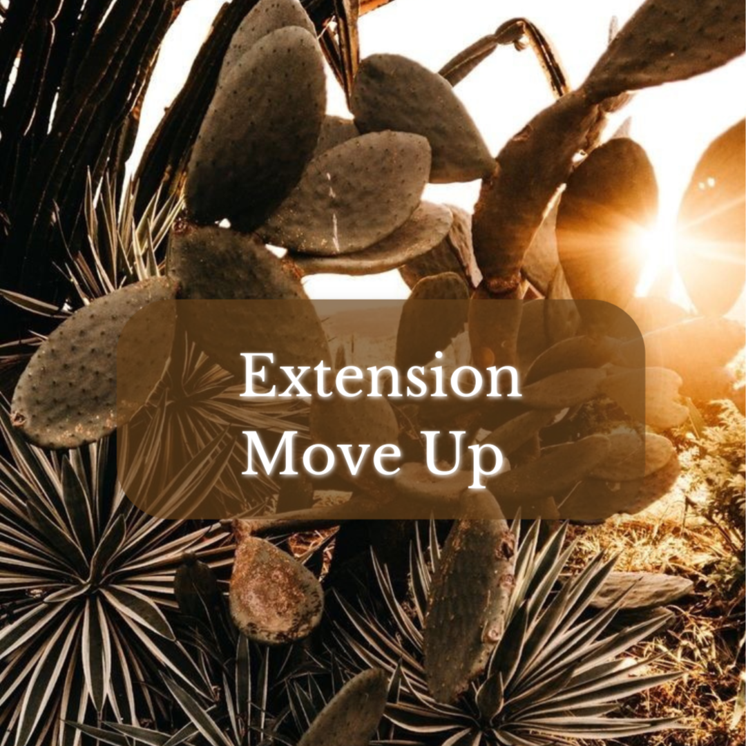 Hair Extension Move Up at Magnolia on Main in Keene, NH