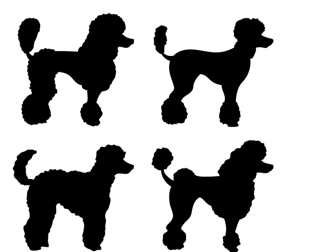 Doodles & Poodles (XL)