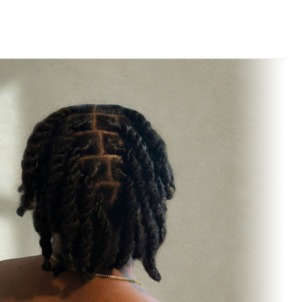 Starter Locs Into Two Strand at The Balayage Studio in Salem, OR