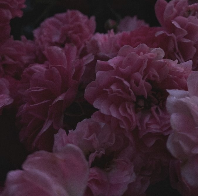 Chemical Peel at Kyrie Cecil Esthetics in Tucson, AZ