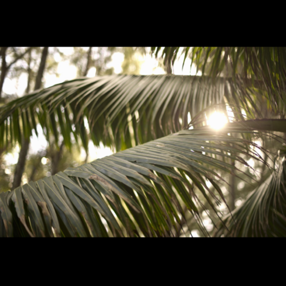 Relax&wax With Kelly at Relax & Wax With Kelly in Aiea, HI