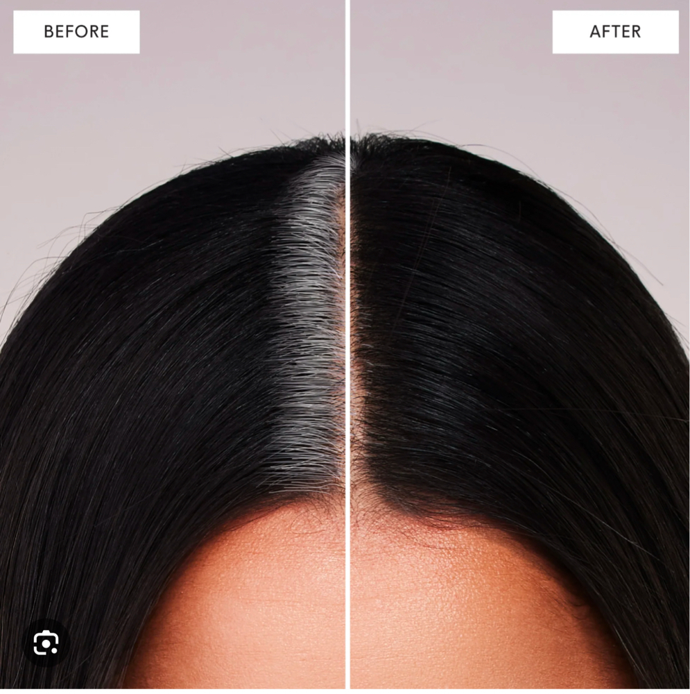 Root Touch Up Haircut/No Blowdry