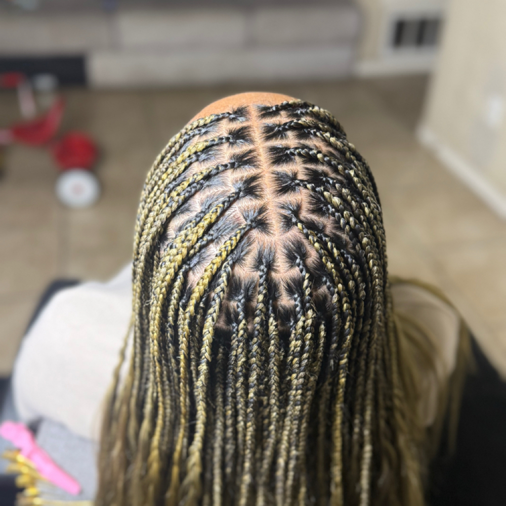 Braid Class 1 On 1 at Stylezbytamia in Texarkana, TX