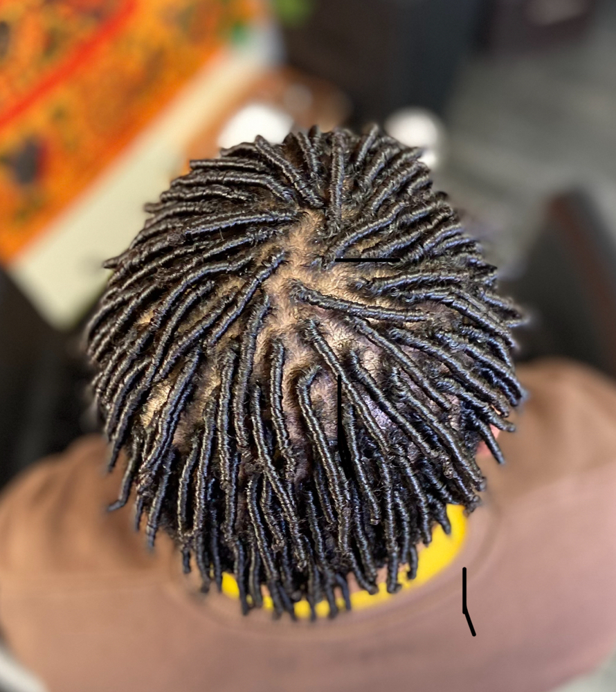 Temporary Twists & Coils