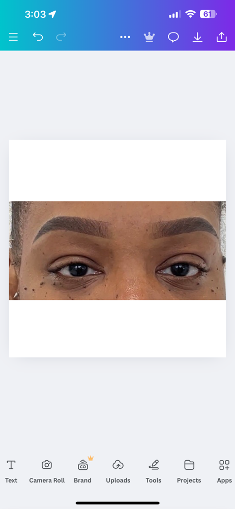 Ombre Powder Brows at INKED BY KT in Lexington, NC