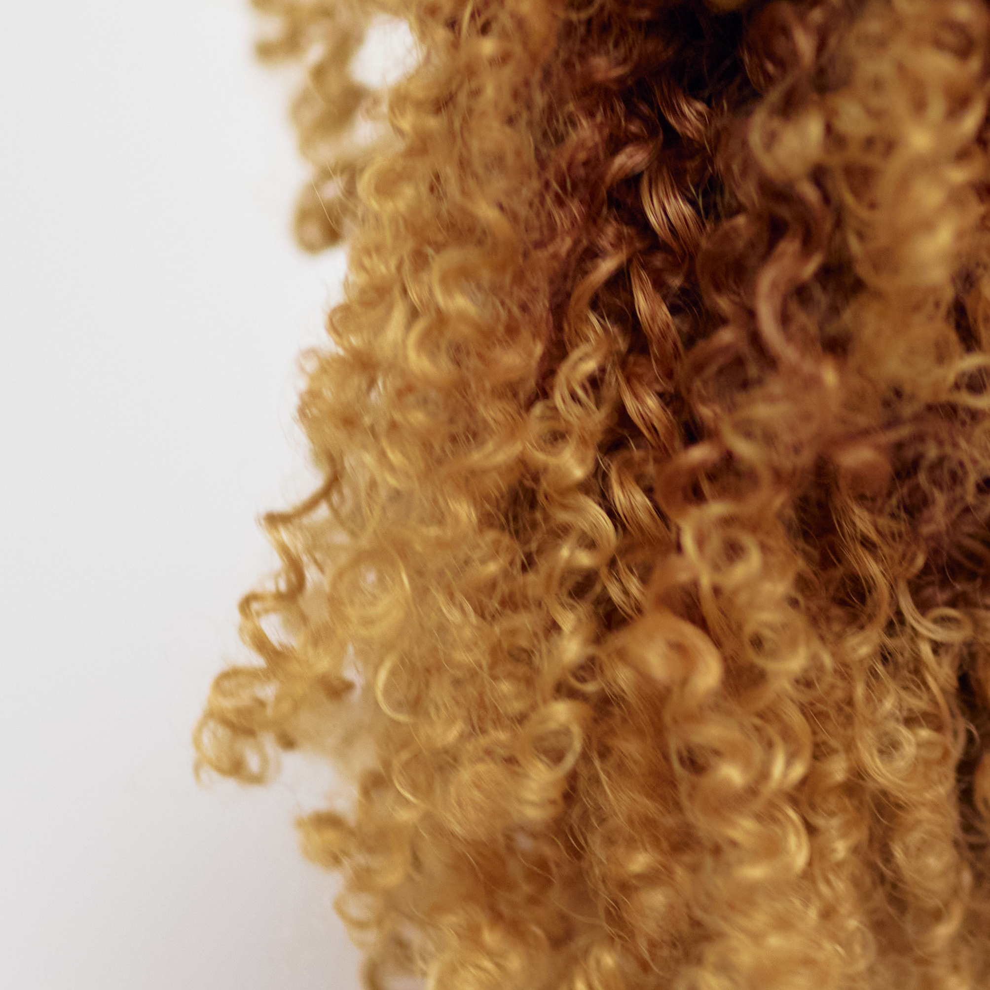 Curl Set