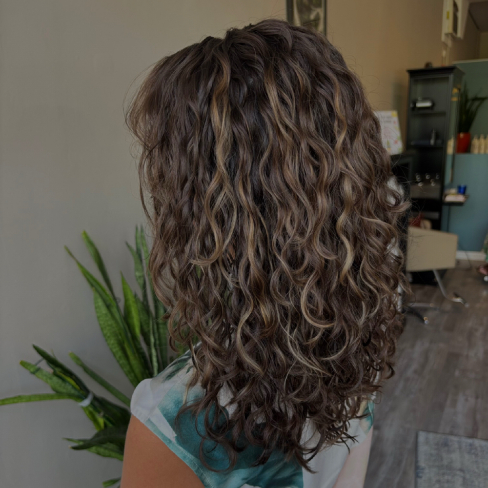 Mini Balayage at Kate Havens in Sandston, VA