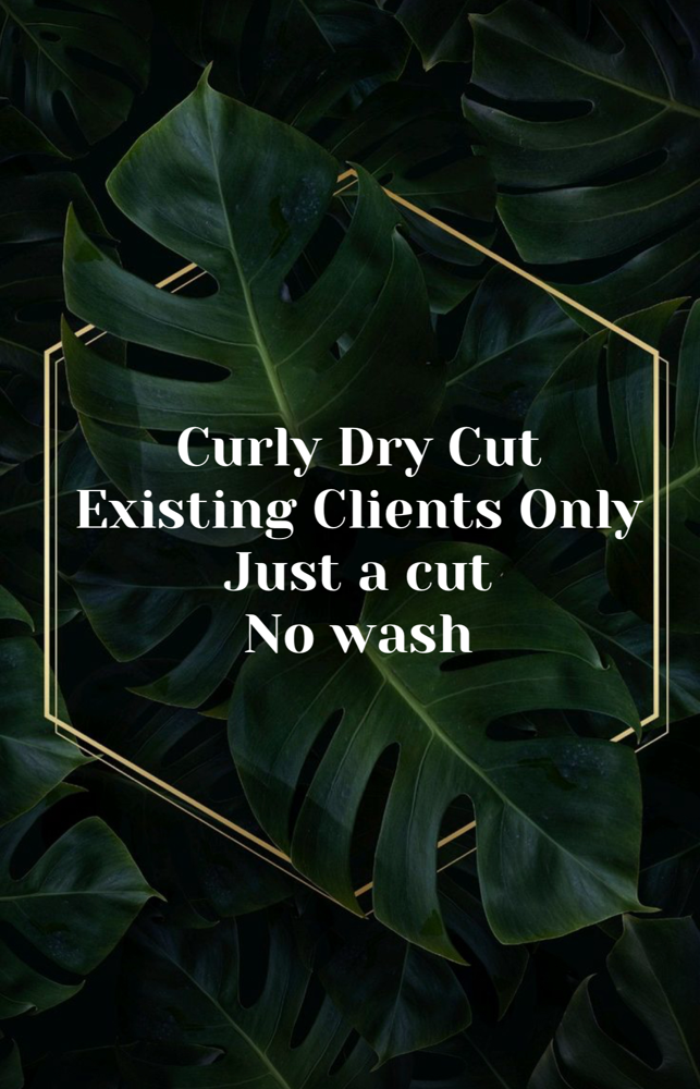 Curly Dry Cut (Existing Clients)