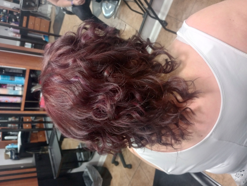 Gloss + Haircut