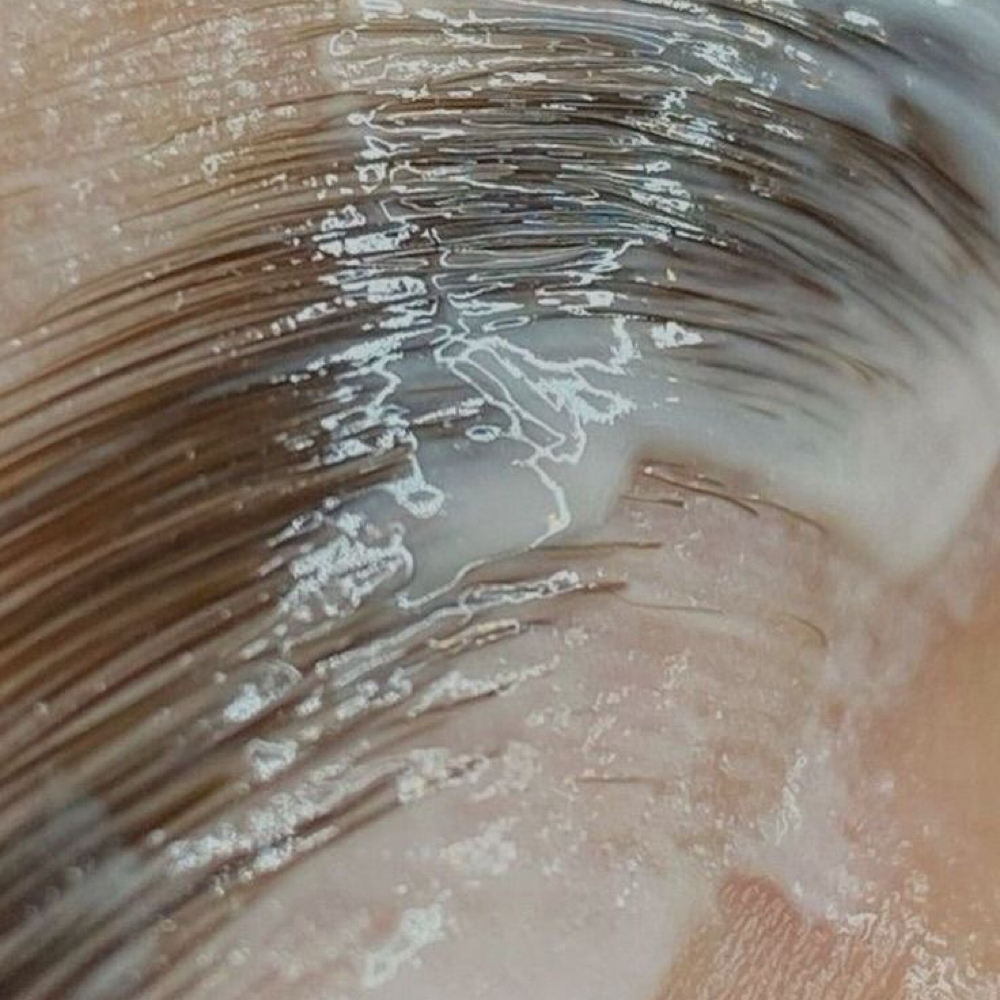 Brow Lamination + Wax (no tint) at Altered Beauty in Norman, OK