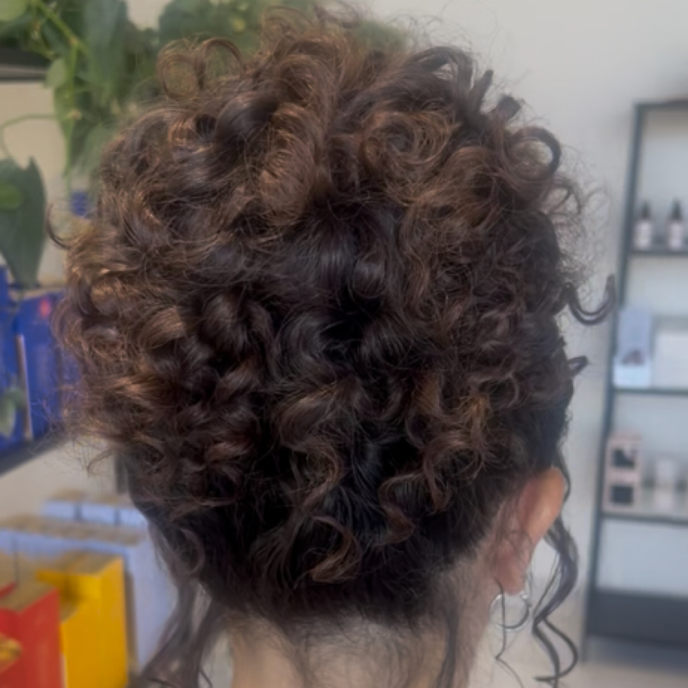 Updo (No Shampoo) at Karlika Kimora in Henderson, NV
