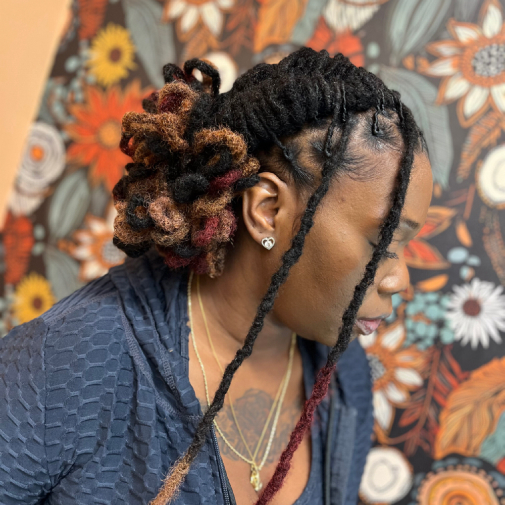 Loc Extentions at Bri Can Do All Things in Colorado Springs, CO