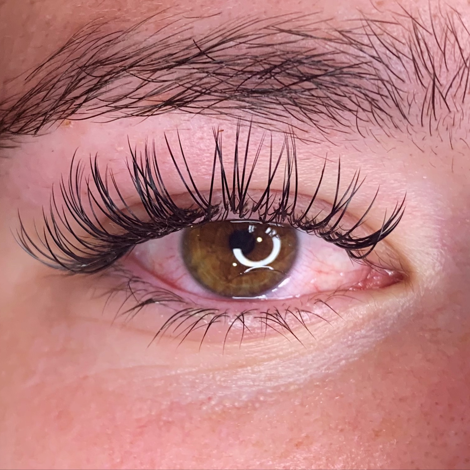 "Glamour" Bold New Set of Lashes