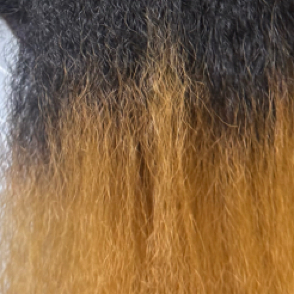 +Color /RootsRetouch(add On Only) at MsRuthStyles in Lawrenceville, GA