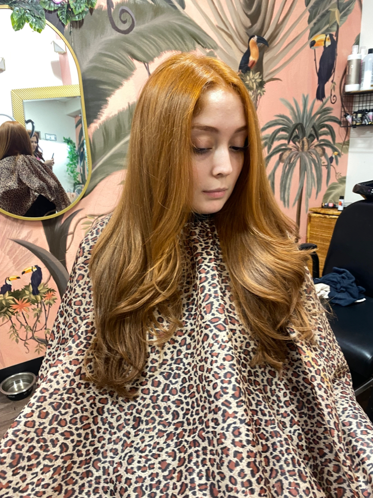 All Over Color or Red Refresh