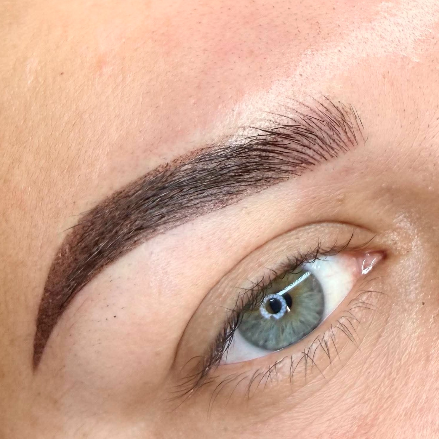 Combination Brows Touch-up at SR Beauty Studios in Sacramento, CA