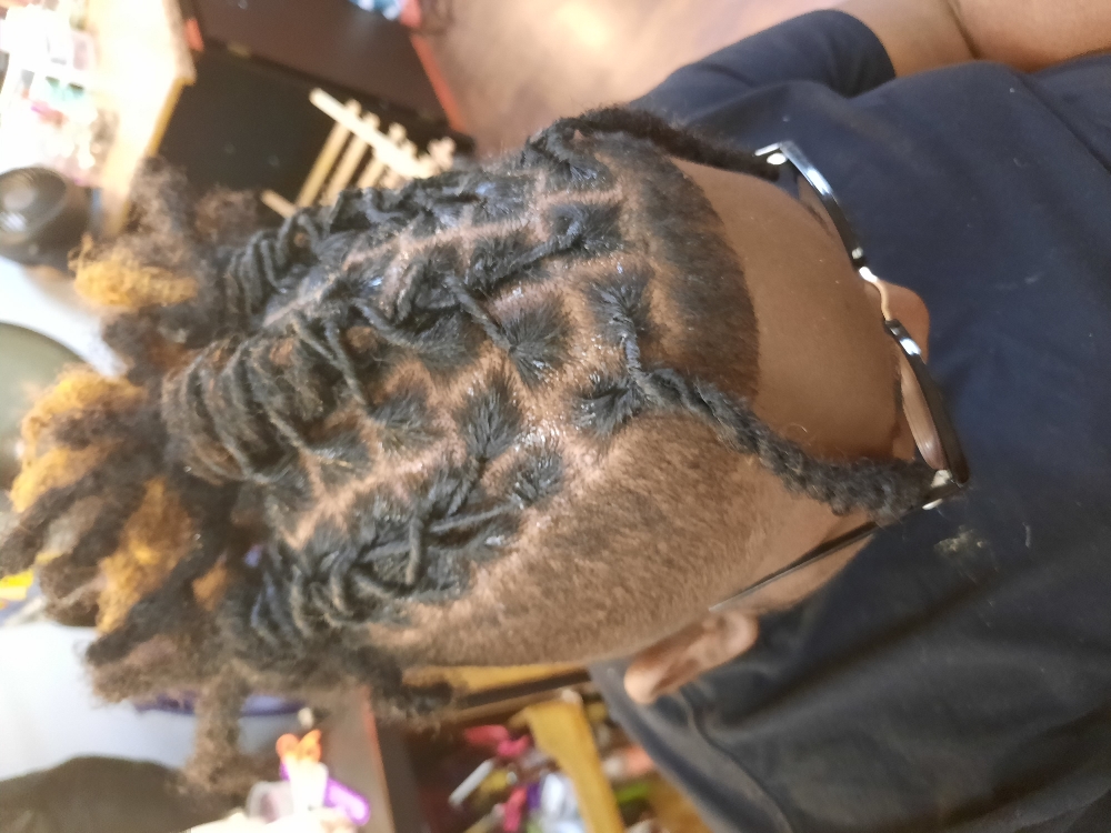 Loc Maintenence (Top Only)