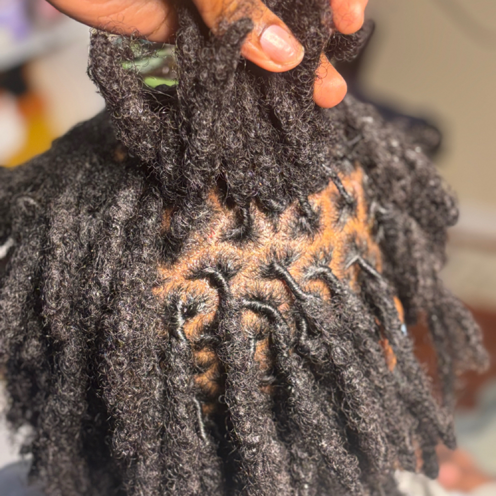 Retwist/Retie & Style at Natural Touch Ki in Whitehall, OH