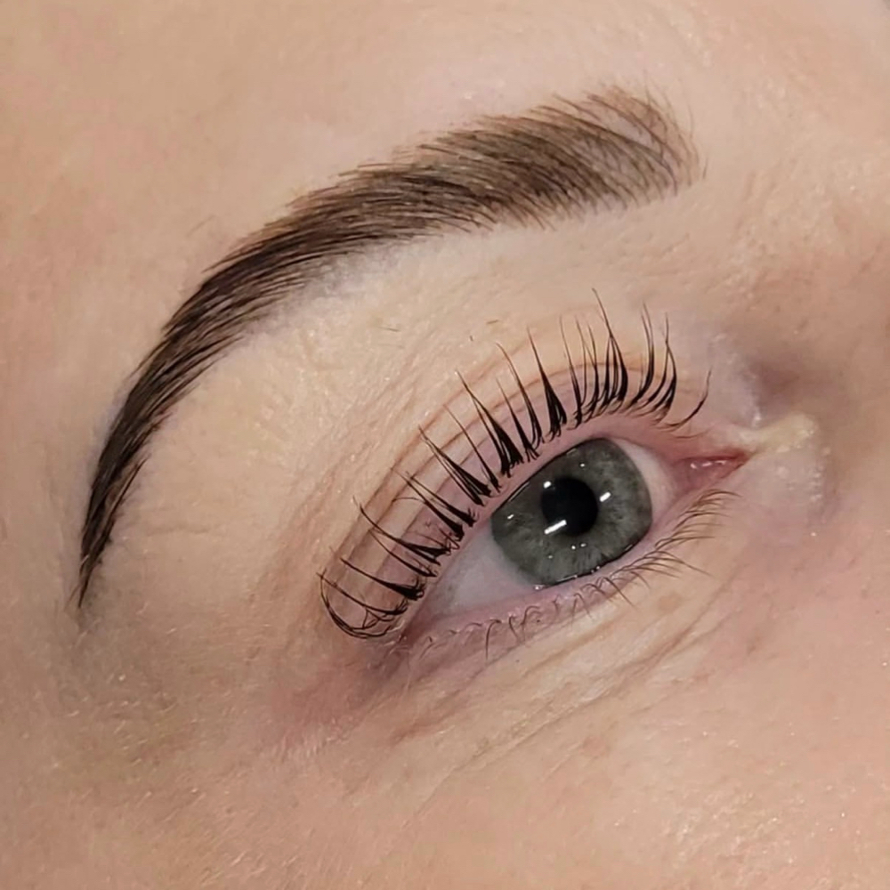 Lash or Brow Tint (Genevieve) at Solo Collective Beauty Bar in McKinney, TX