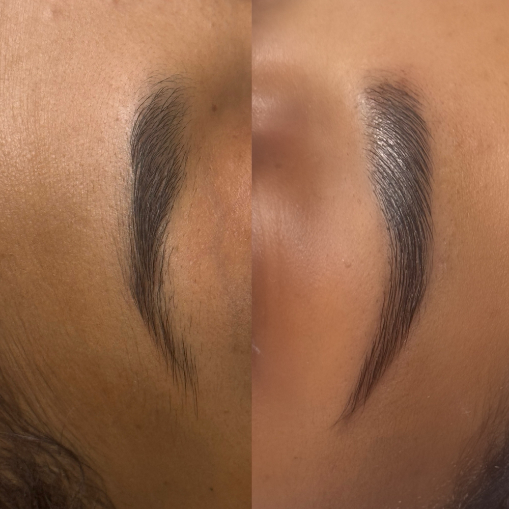 Eye Brow Tint at Nellies Beauty Bar in Phoenix, AZ