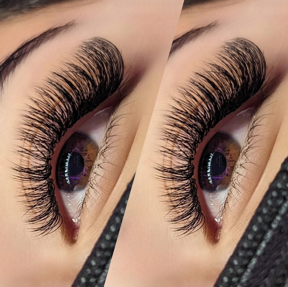 Violet Fill