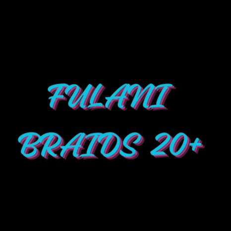 Fulani braids 20+ at Cabellosbeautiezllc in virginia beach, VA