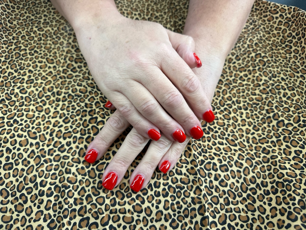 Acrylic Set