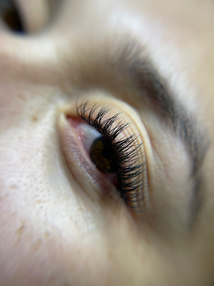 Basic Lash Set