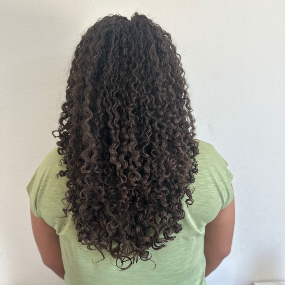 Lionessa Curly Crown Experience at Lionessa Beauty in San Diego, CA