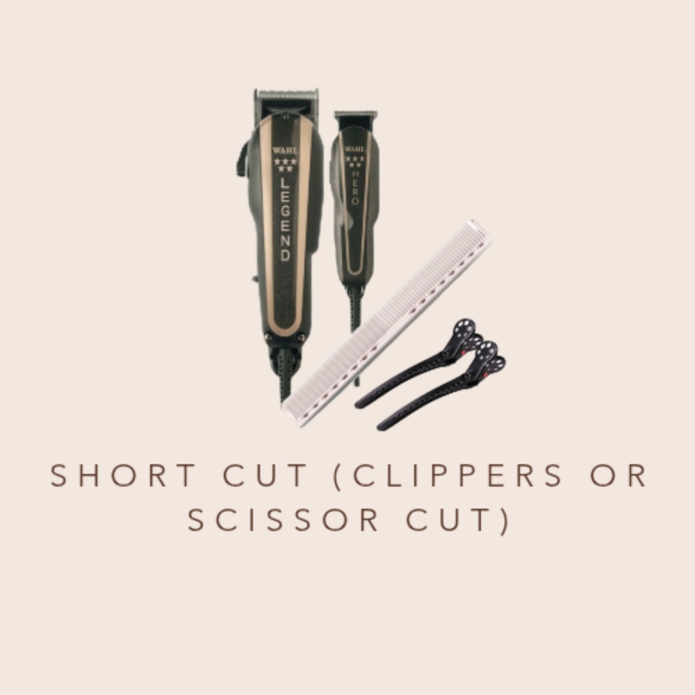 Short Cut (Clippers or Scissor Cut) at Sarita Anzalone in Lee, MA