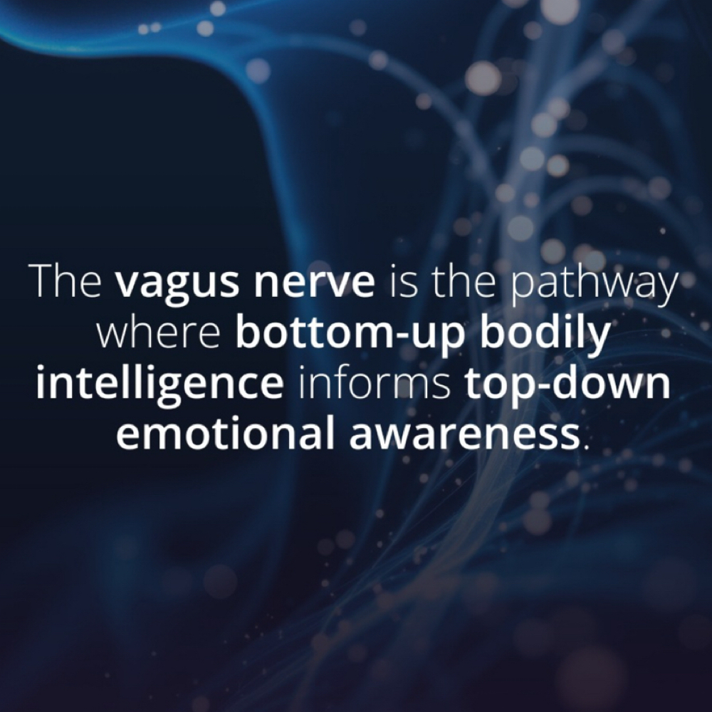 Vagus Nerve Stimulation at LumenHeart with Chenoa in Loomis, CA