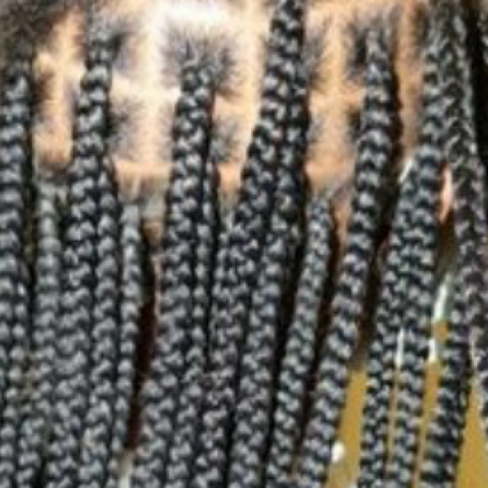 Small Braids (Pls Read B4 Booking) at Cedar & Silk in Alexandria, VA