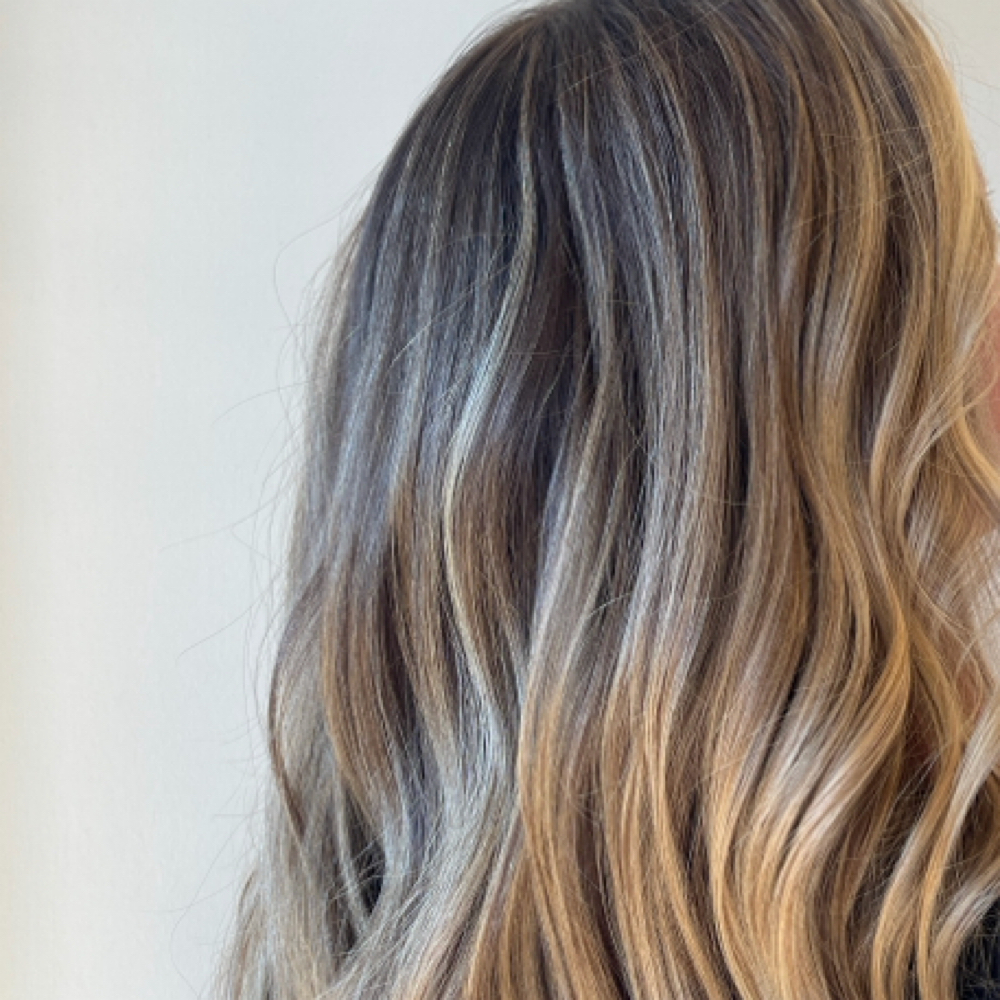 Partial Blonding & Haircut at The Bronde Bungalow in Newtown Square, PA