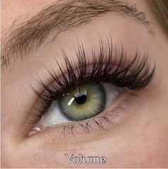 Volume Lashes