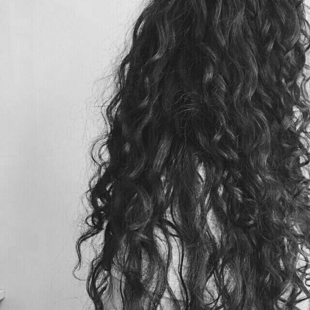 Curly Cut + Style at Hair By Morgan K in Tampa, FL