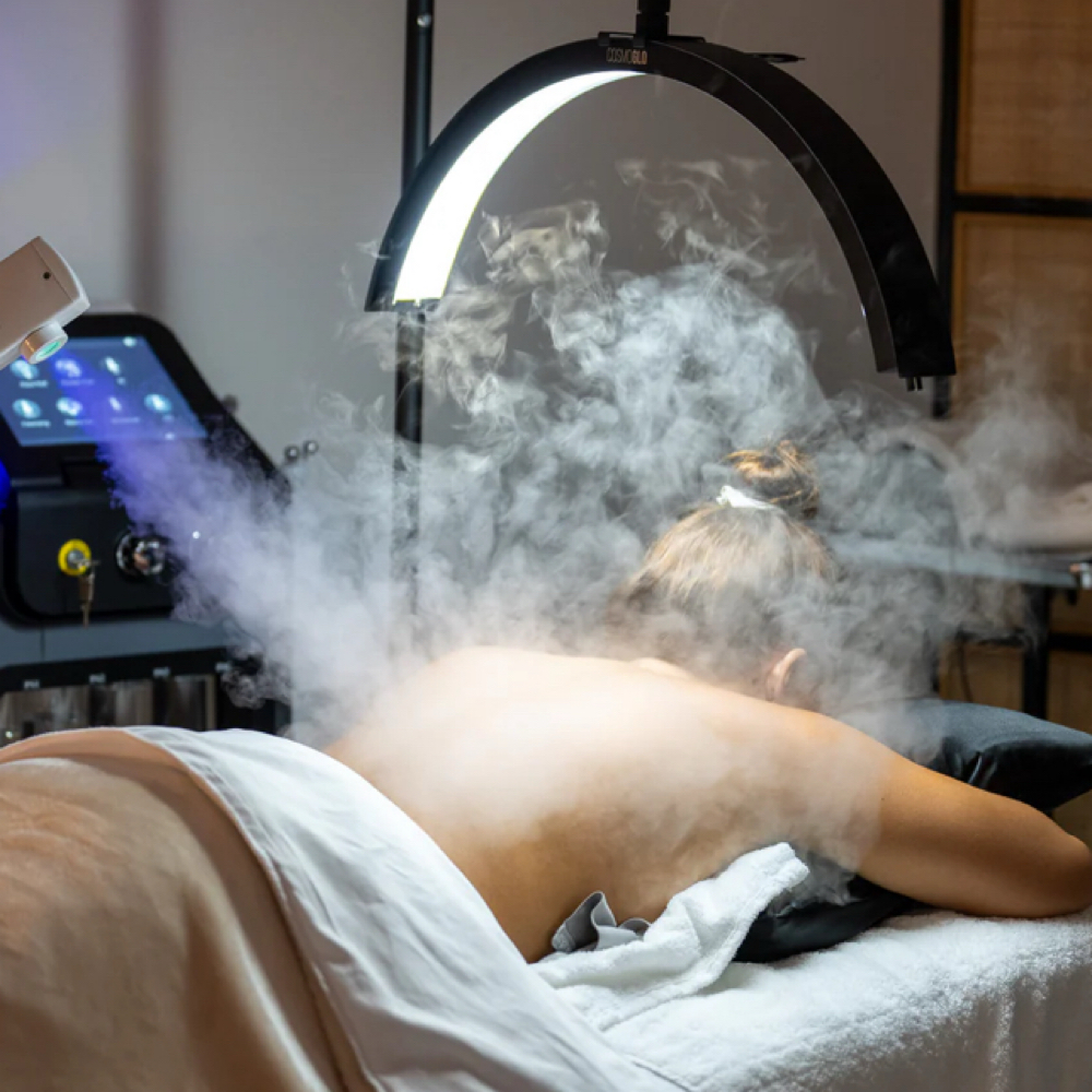 Back Facial at Evergreen Esthetics Co in New Boston, MI