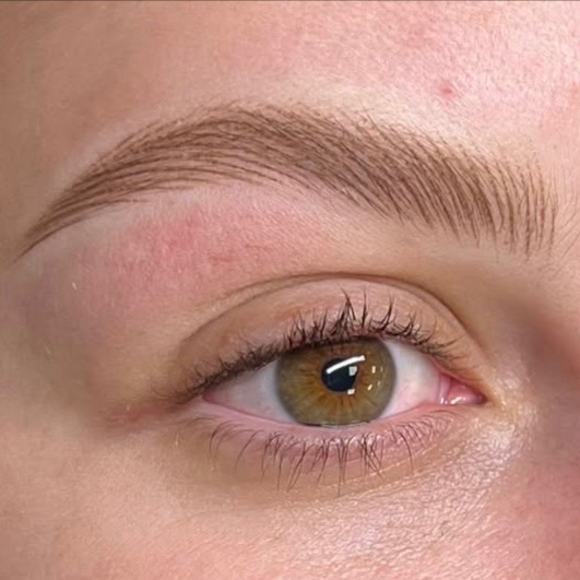 NANO BROWS at jennifer montoya studio in North Miami Beach, FL