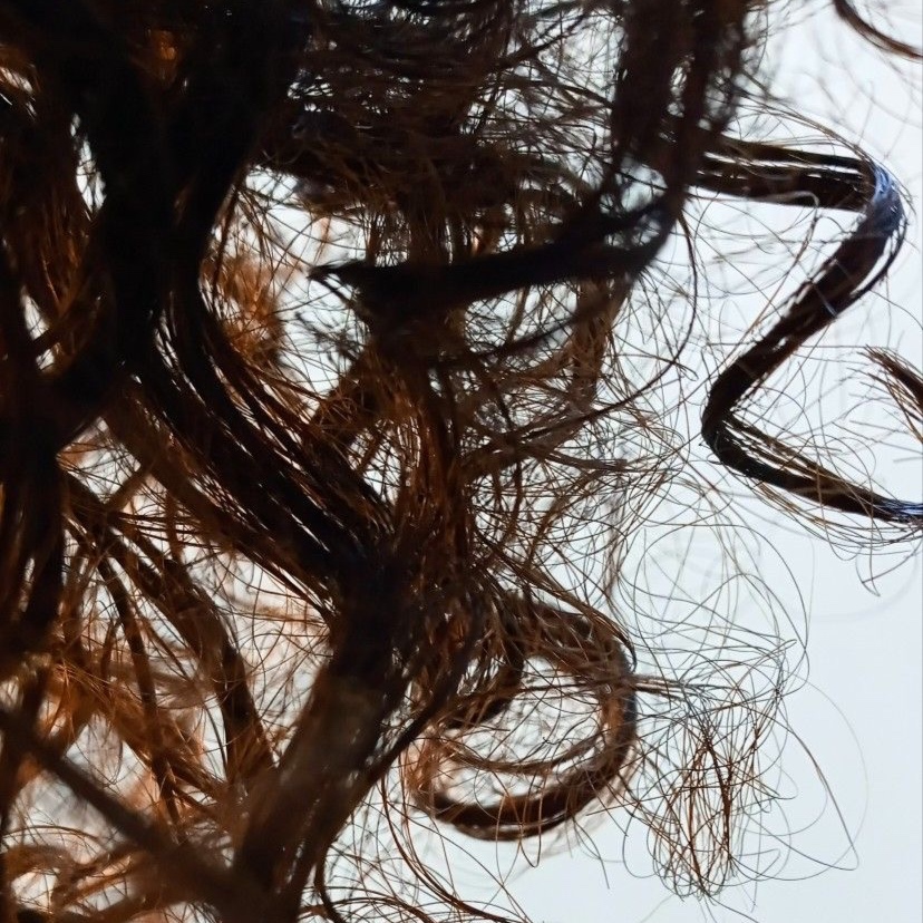 Curly Cut and Style at Luna Rose TX Hair in Killeen, TX