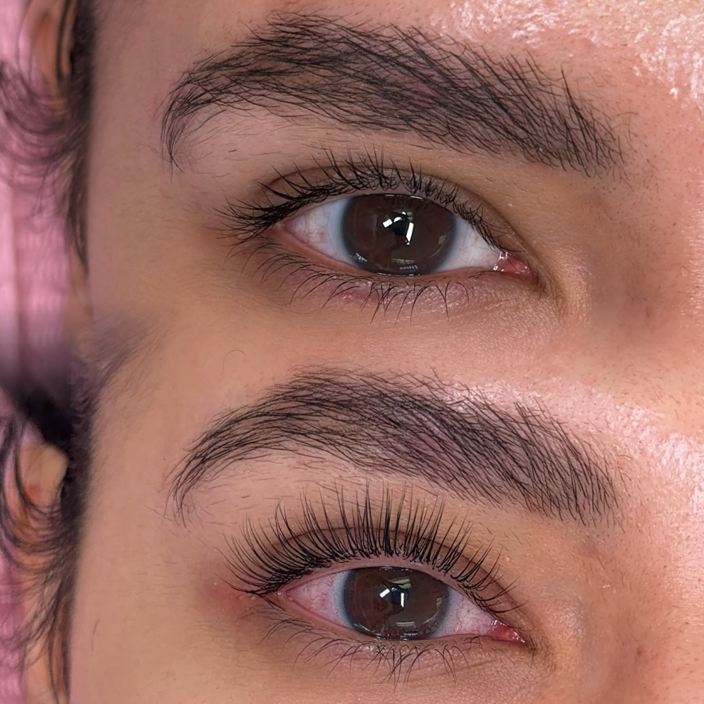 Korean Lash Lift at Halo Brow Studio in Houston, TX